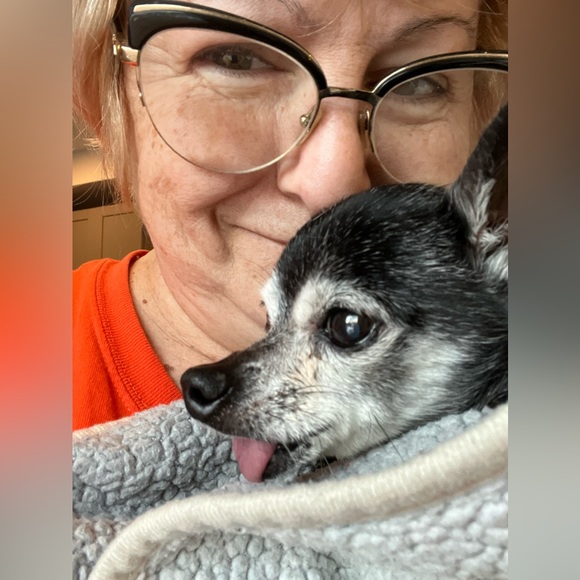 Meet your Posher, Kattina - Picture 3 of 4